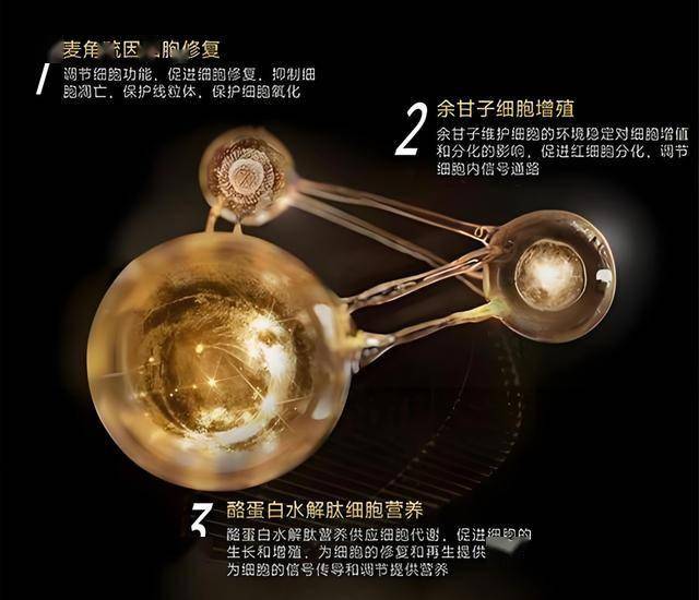 明溪县夏阳乡旦上村：一张“护鸟令”变更一个村